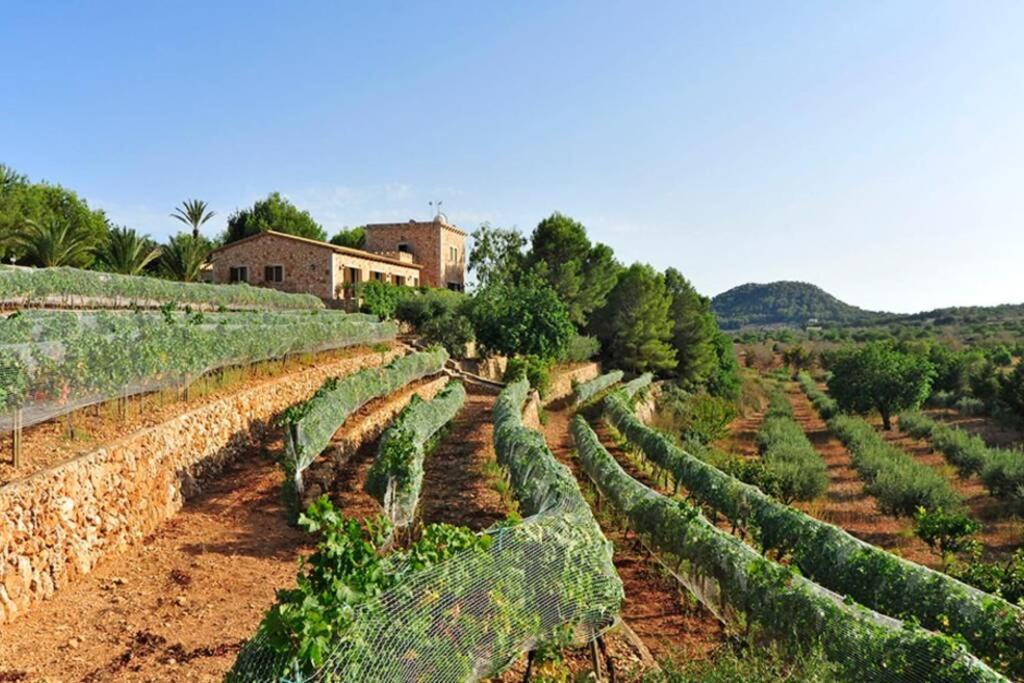 Es Castell De Ca N'Alou De Ses Cases Noves S'Horta Exterior photo