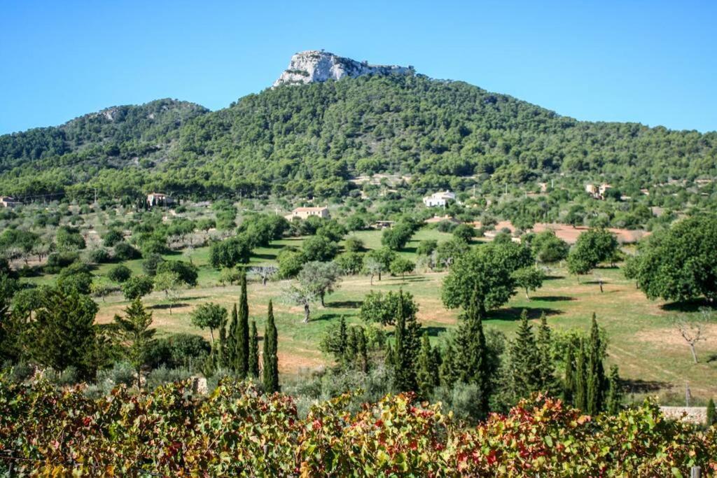 Es Castell De Ca N'Alou De Ses Cases Noves S'Horta Exterior photo